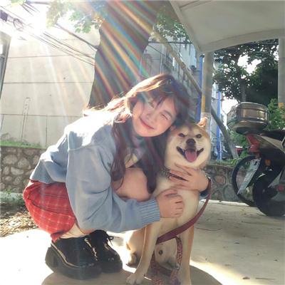 布鲁特斯的心脏