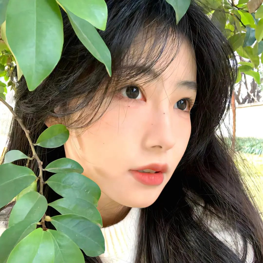 双生薄荷
